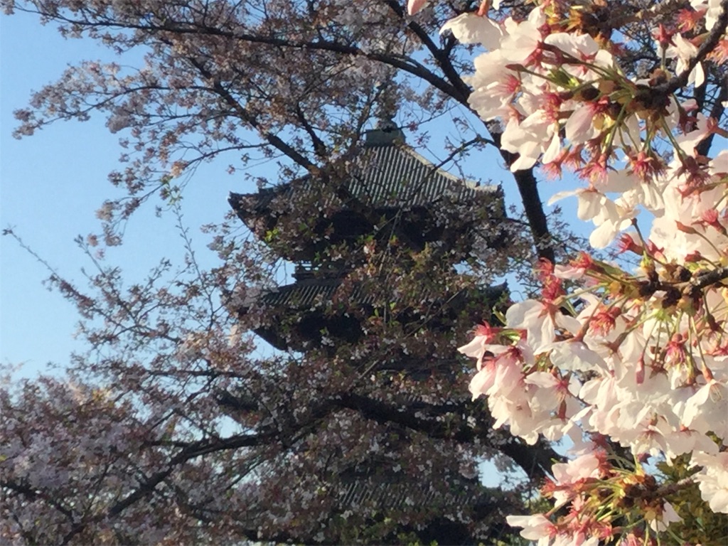 f:id:bkeita:20190415213453j:image