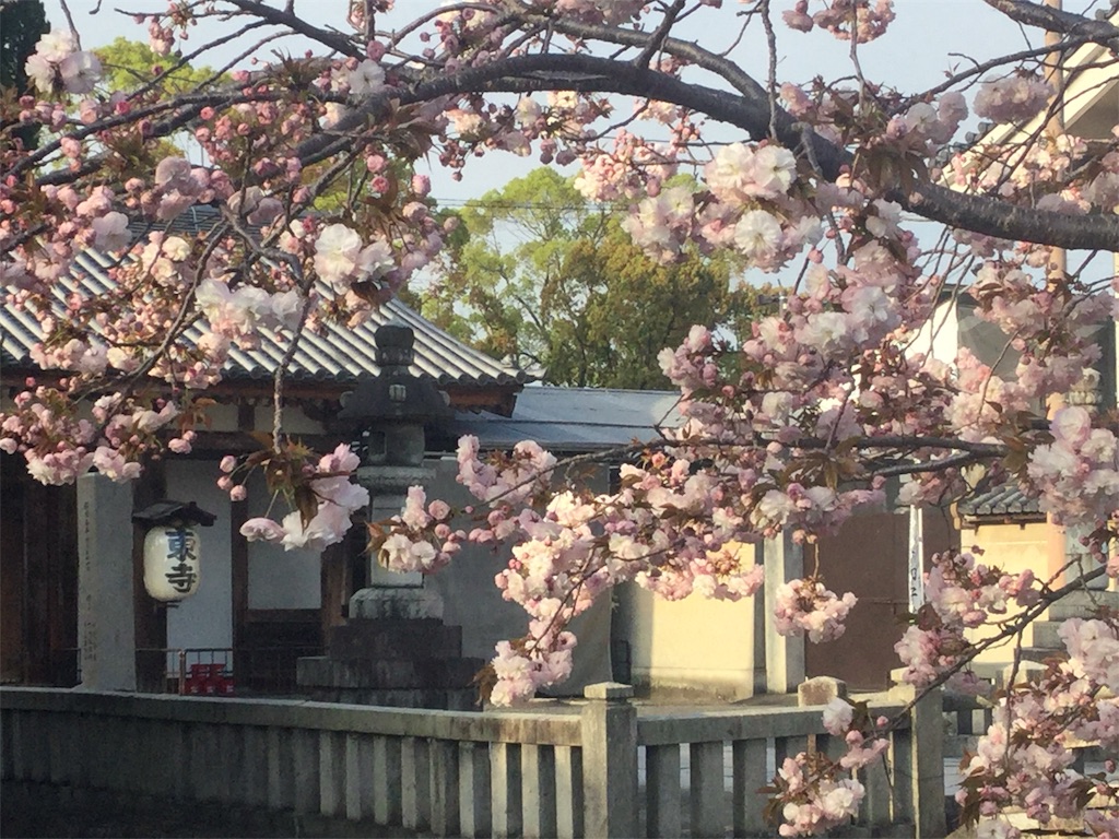 f:id:bkeita:20190418075001j:image