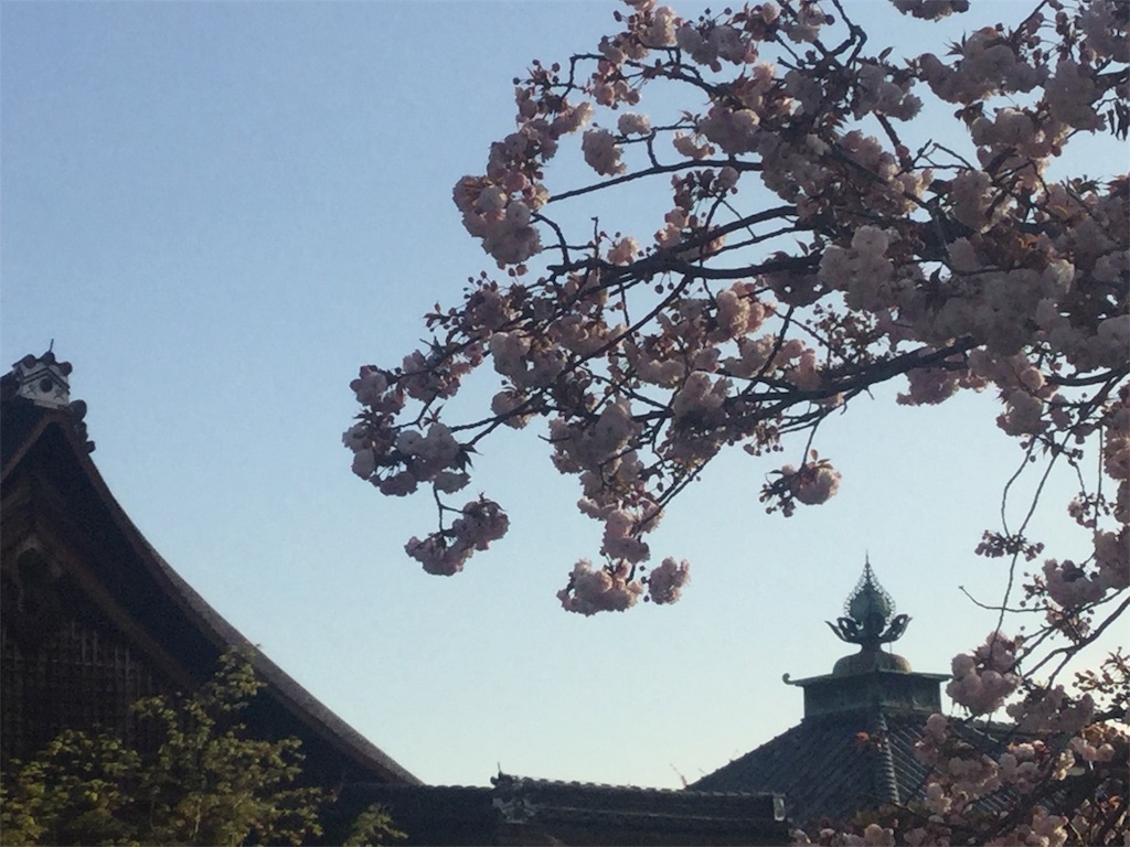f:id:bkeita:20190418075019j:image