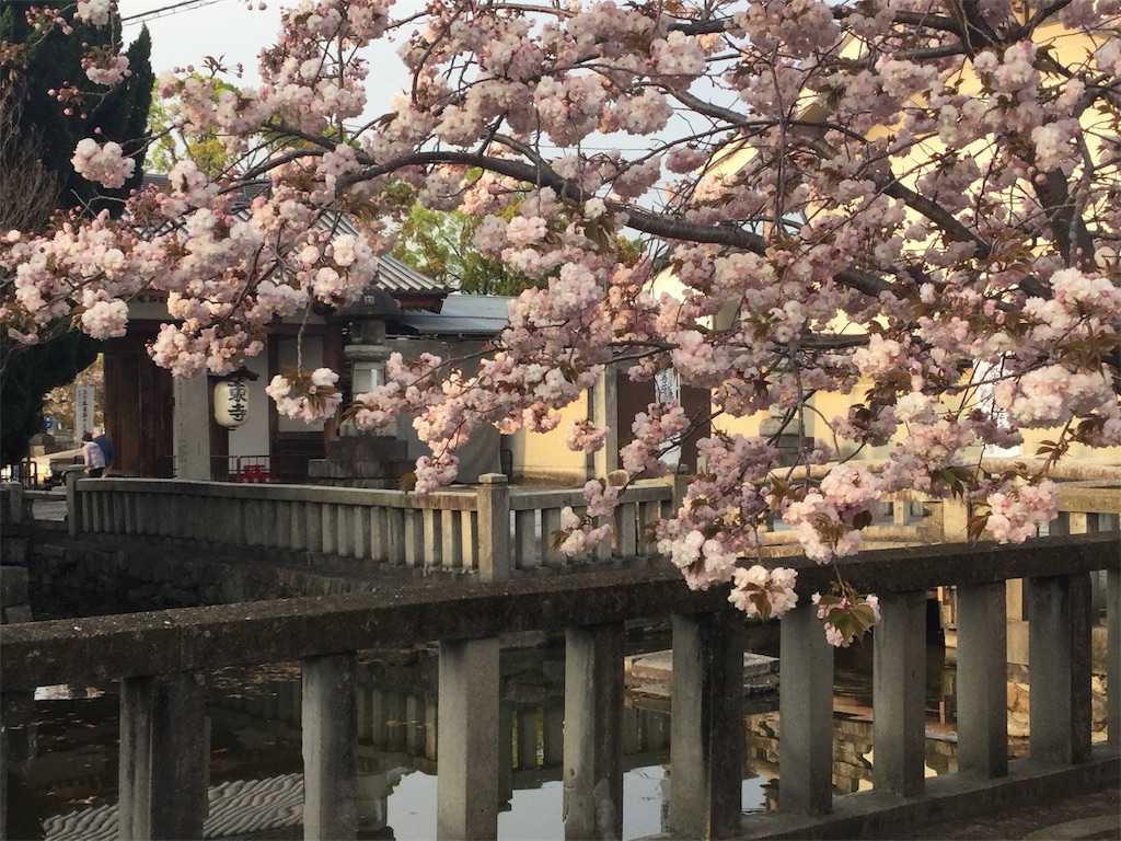 f:id:bkeita:20190419095638j:image