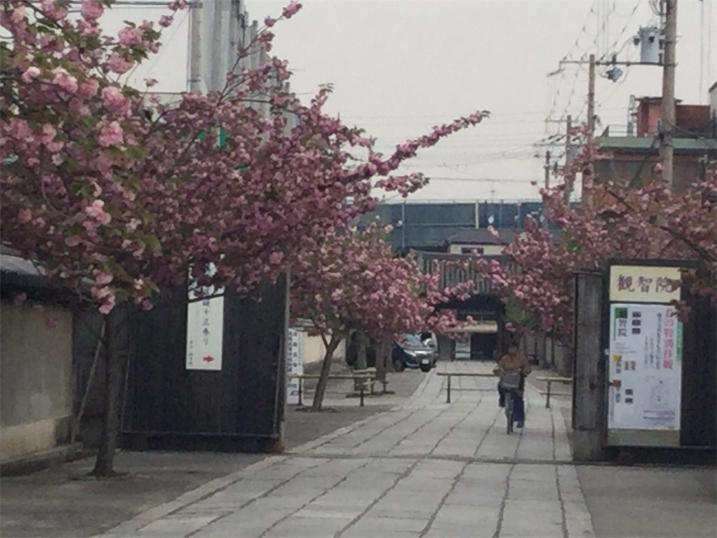 f:id:bkeita:20190422120544j:image