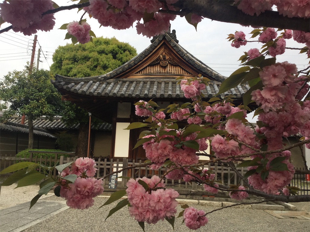 f:id:bkeita:20190422120619j:image