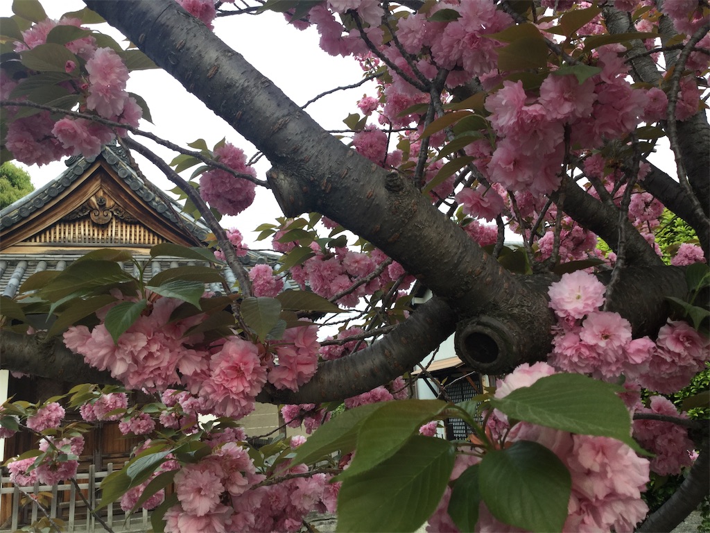 f:id:bkeita:20190422120625j:image