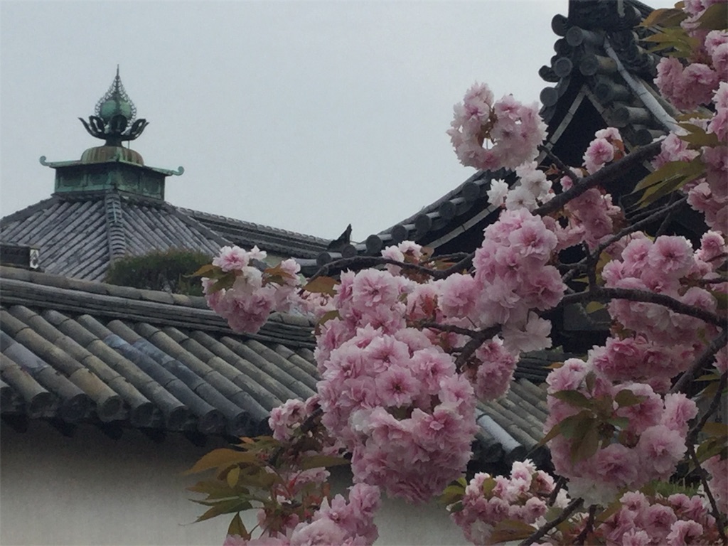 f:id:bkeita:20190422120646j:image