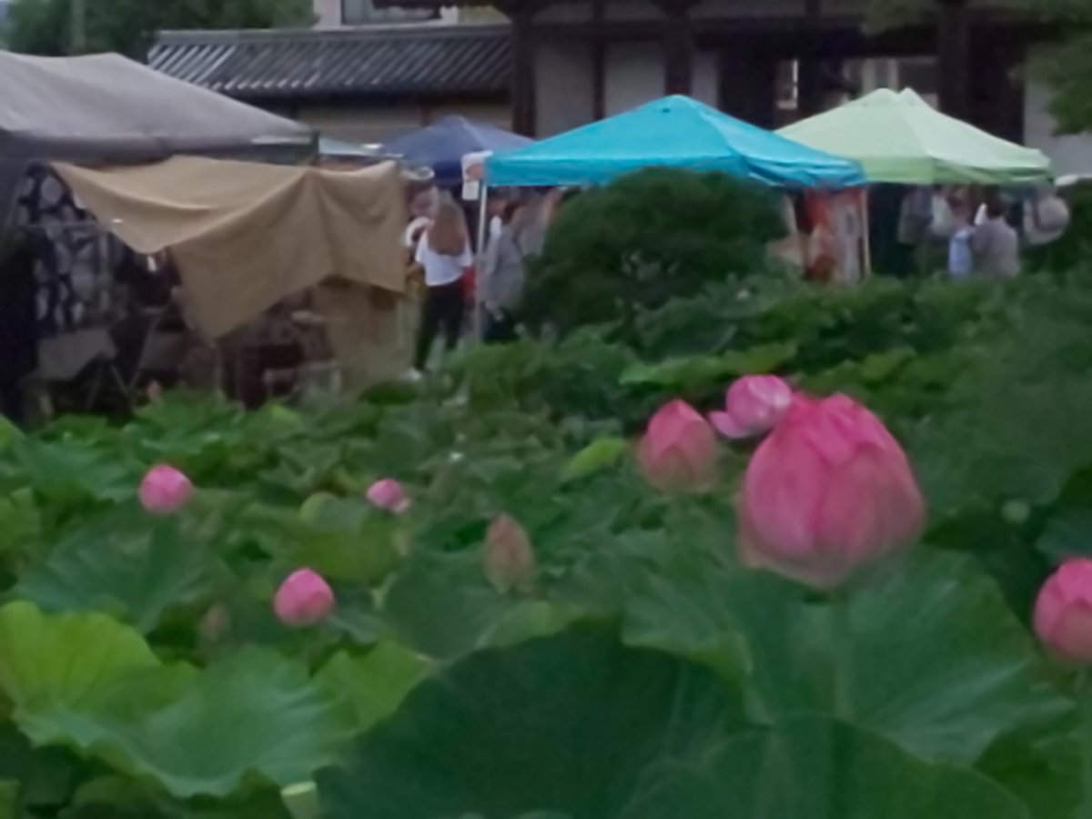 f:id:bkeita:20190721184319j:plain