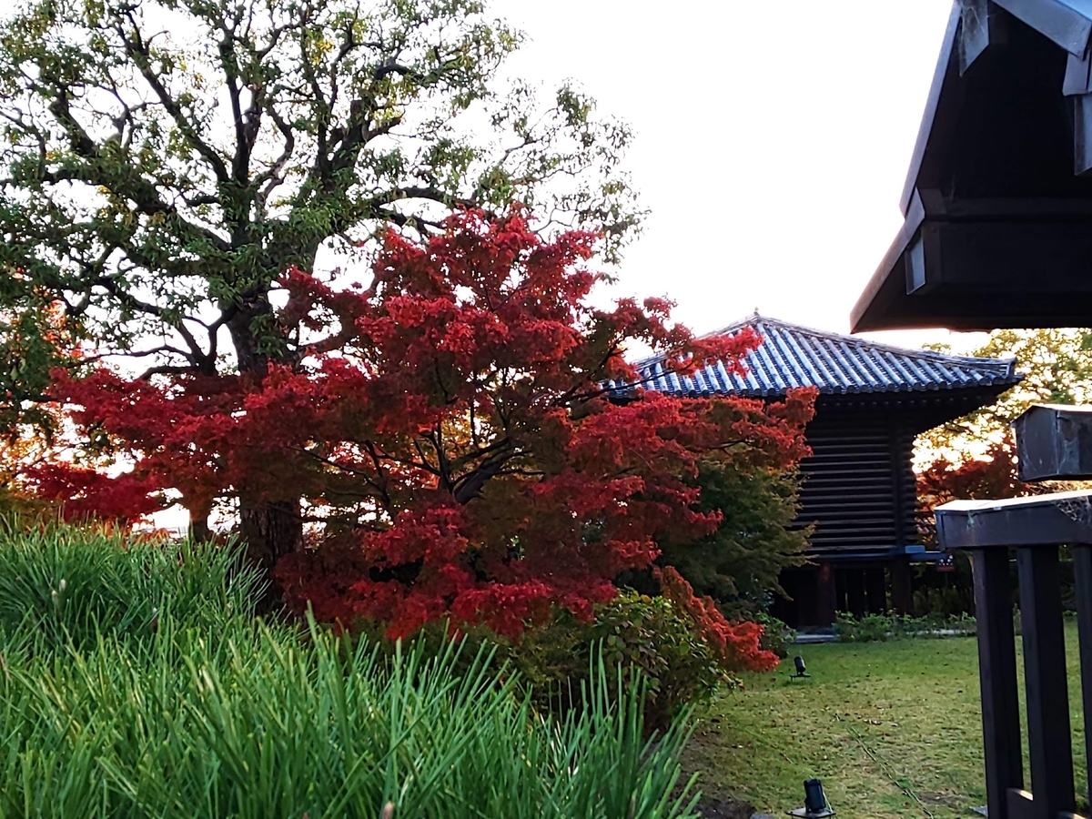 f:id:bkeita:20200524140237j:plain