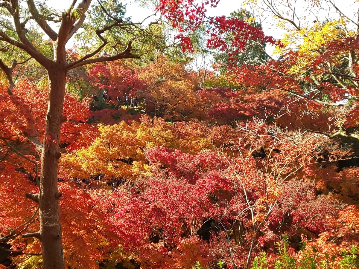 f:id:bkeita:20200602205934j:plain