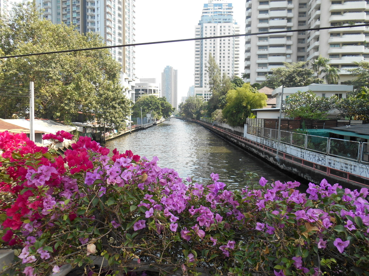 f:id:bkkmind:20210511124323j:plain