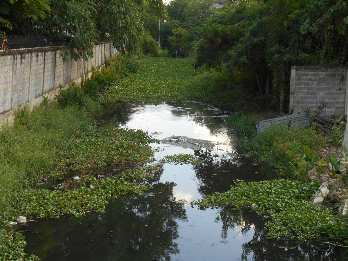 f:id:bkkmind:20210511124844j:plain