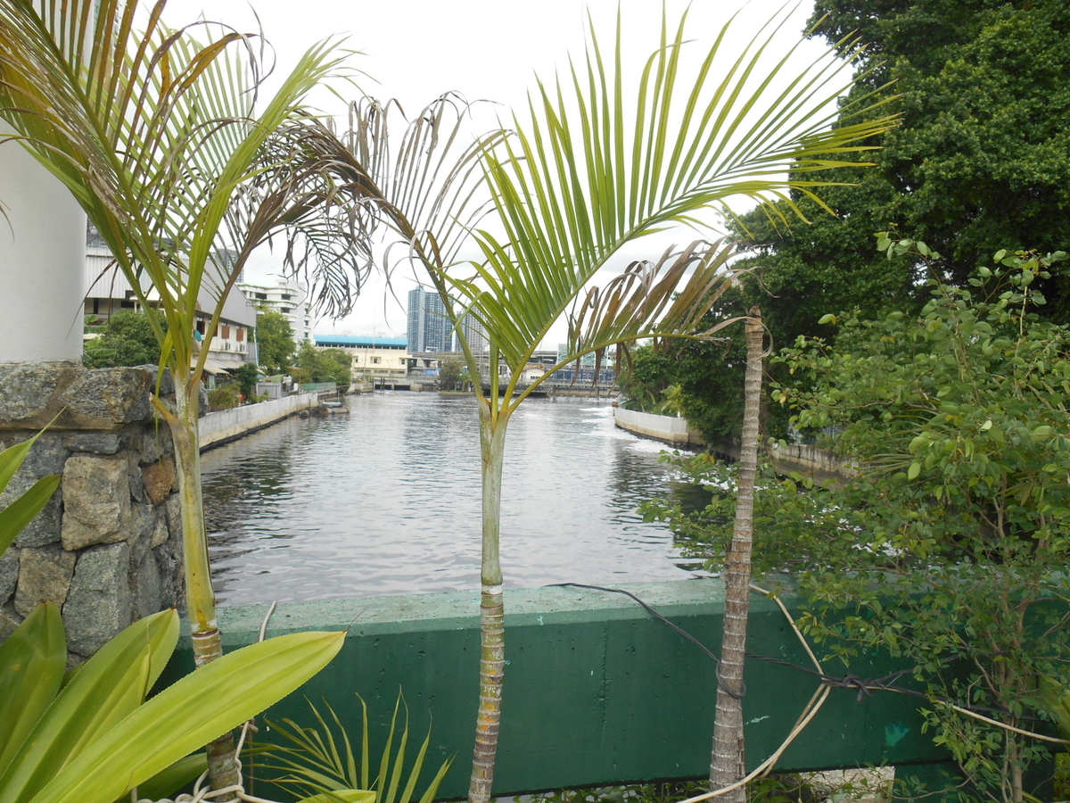 f:id:bkkmind:20210511130627j:plain