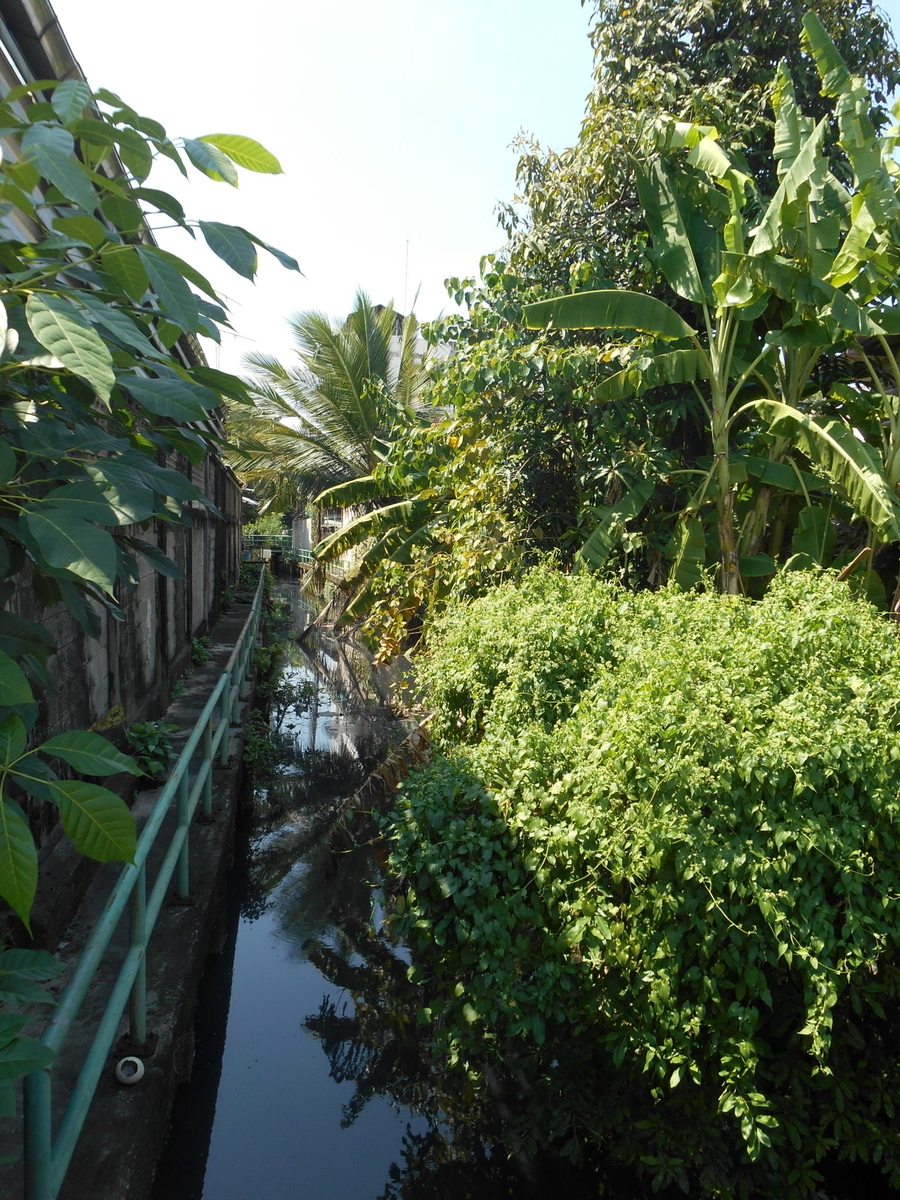 f:id:bkkmind:20210512103549j:plain