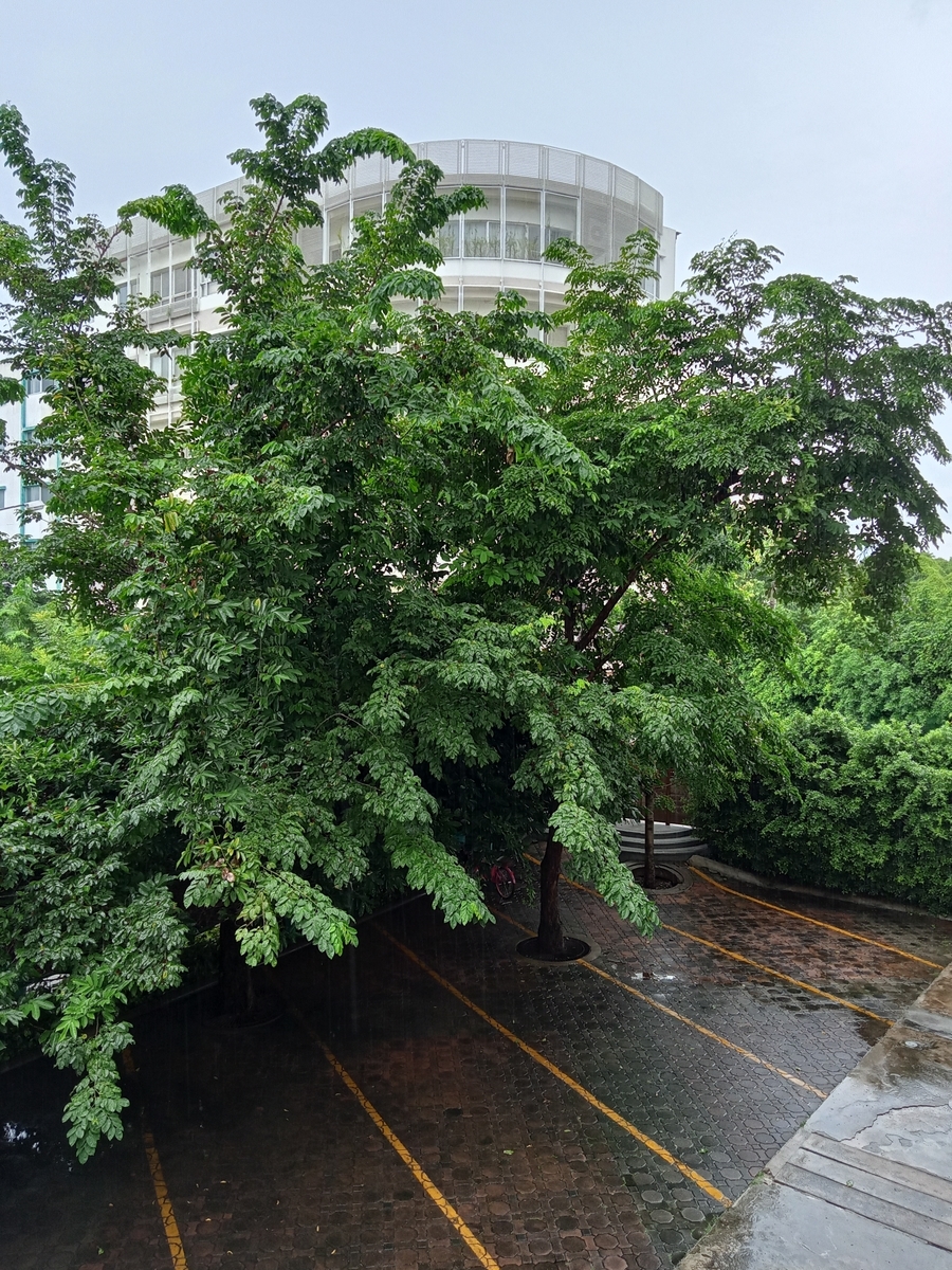 f:id:bkkmind:20210829100343j:plain