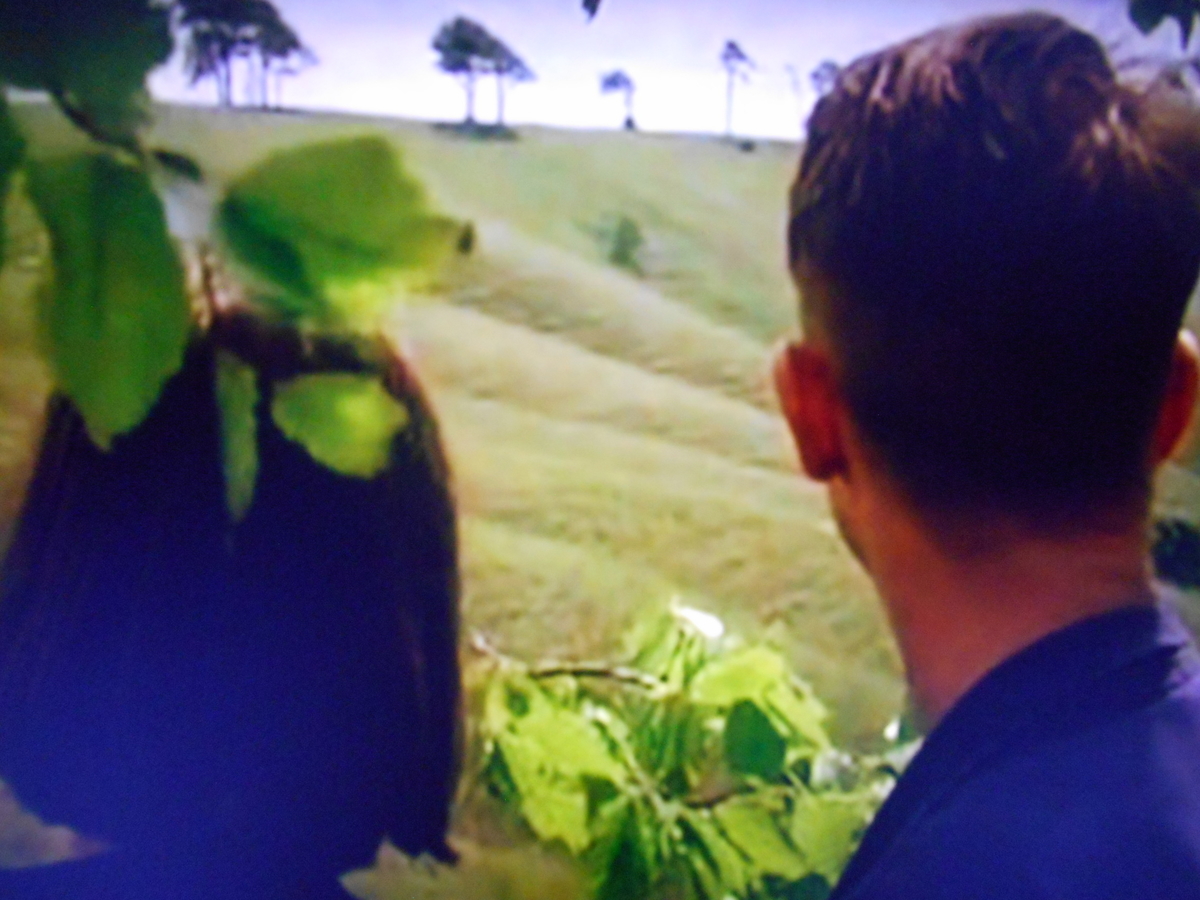 f:id:bkkmind:20220212103235j:plain