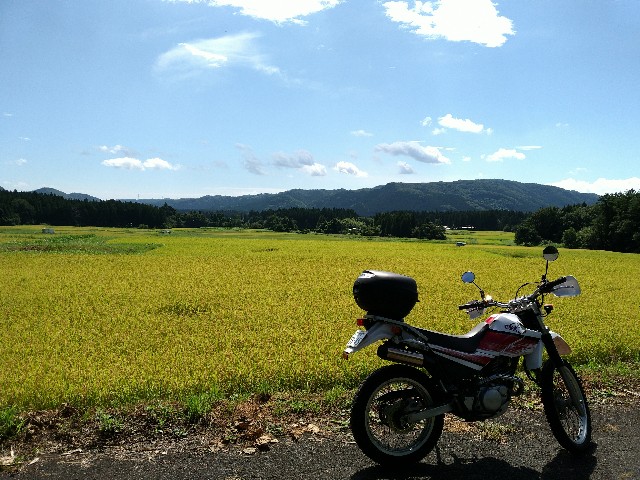 f:id:bktt225:20200430203654j:image f:id:bktt225:20200430203654j:image