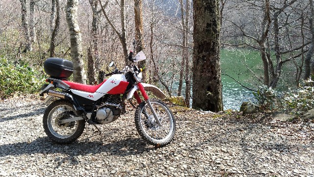 f:id:bktt225:20200430205334j:image f:id:bktt225:20200430205334j:image