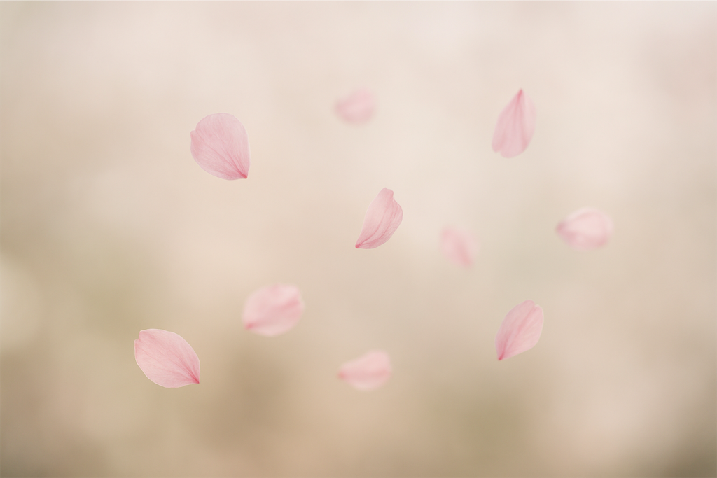 f:id:bl2825og:20251119224126p:image f:id:bl2825og:20251119224126p:image