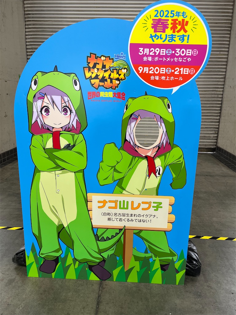 f:id:black-star0609:20240928191524j:image