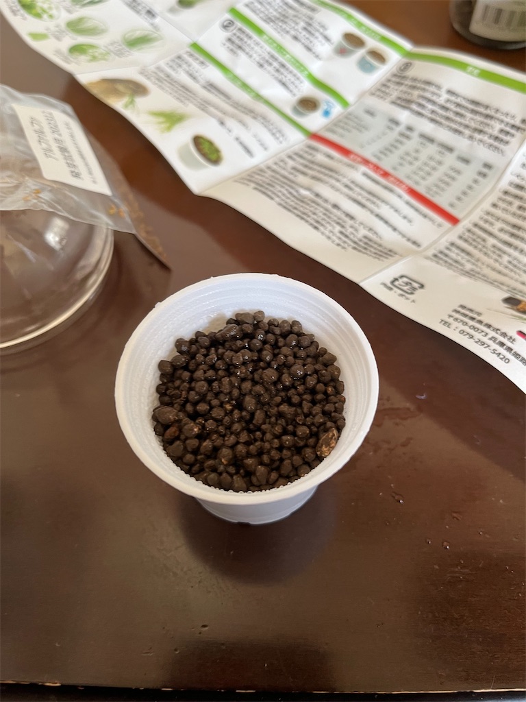 f:id:black-star0609:20250421122224j:image
