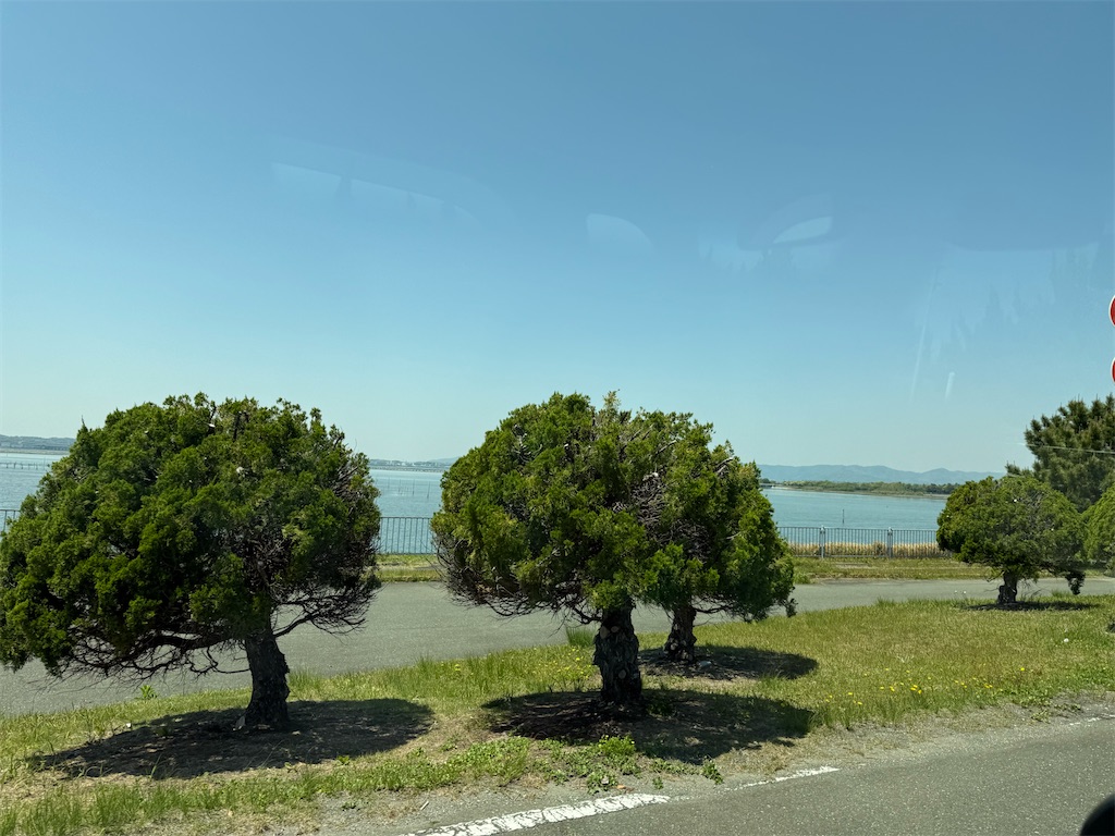 f:id:black-star0609:20250430213436j:image