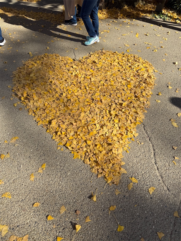 f:id:black-star0609:20251121061156j:image