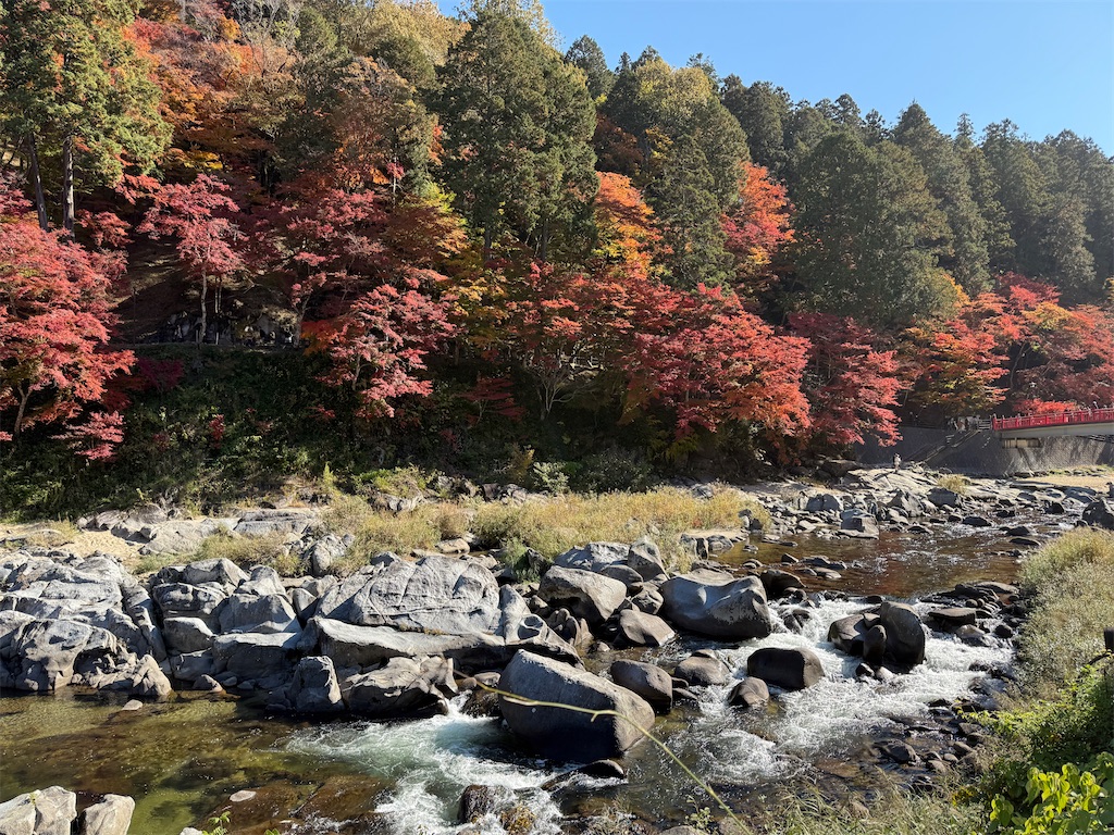 f:id:black-star0609:20251121061428j:image