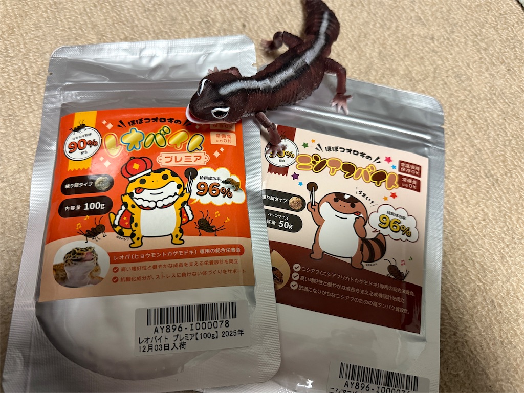 f:id:black-star0609:20260108214837j:image