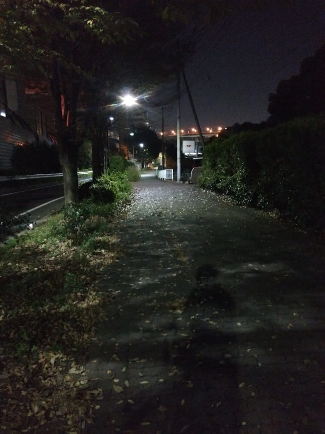 f:id:blackCat13:20201115215813j:plain