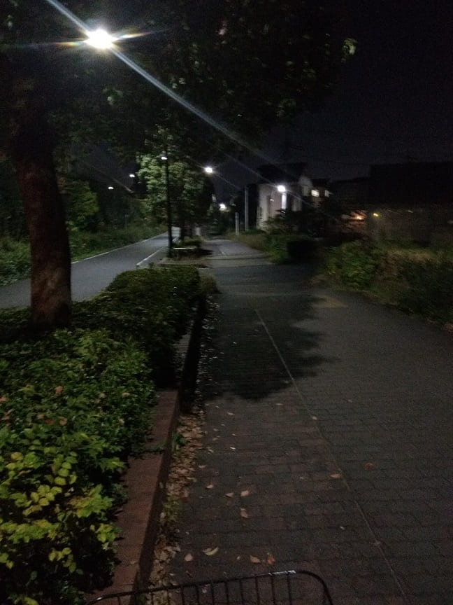 f:id:blackCat13:20201115215909j:plain