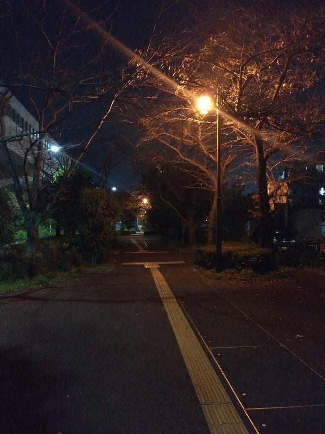 f:id:blackCat13:20201115215915j:plain