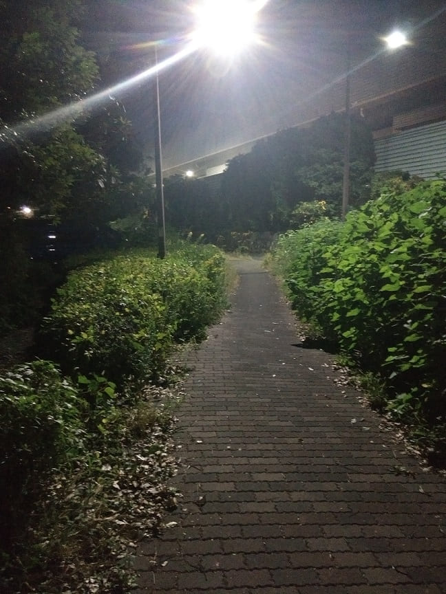 f:id:blackCat13:20201122235320j:plain