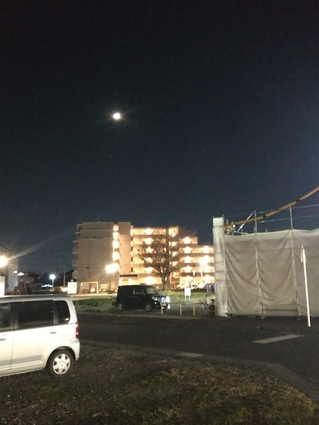 f:id:blackCat13:20201122235339j:plain