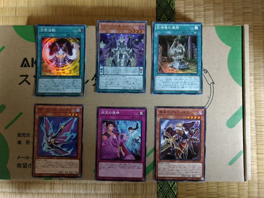 f:id:blackCat13:20201206183929j:plain