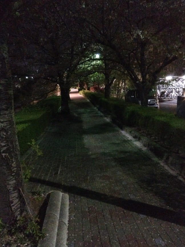 f:id:blackCat13:20210407194505j:plain