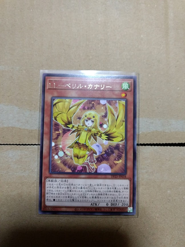 f:id:blackCat13:20210530212542j:plain