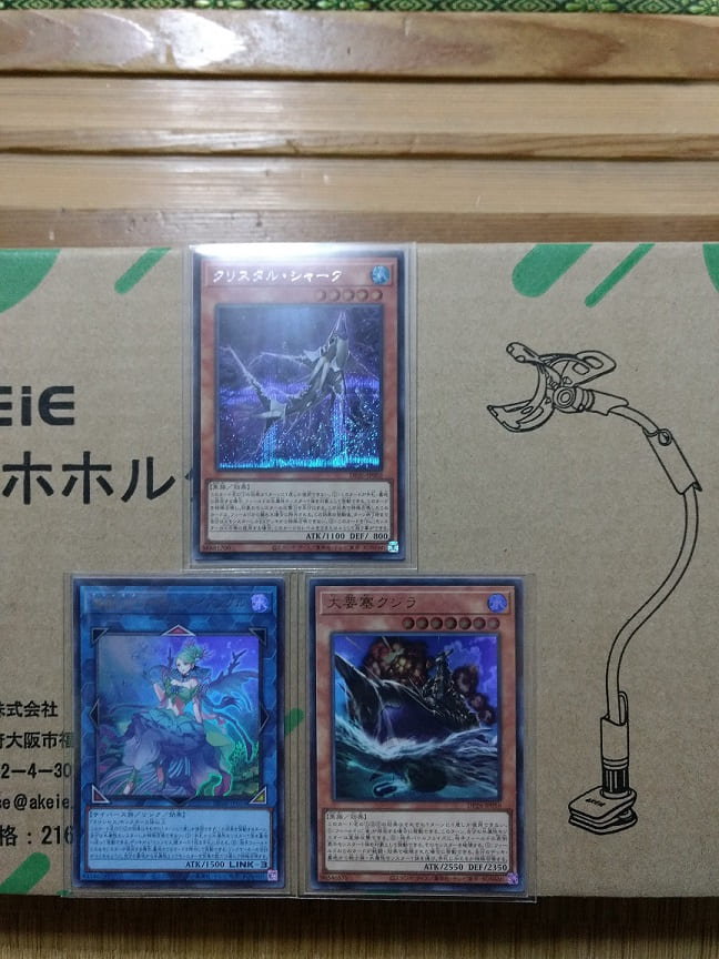 f:id:blackCat13:20211128145311j:plain