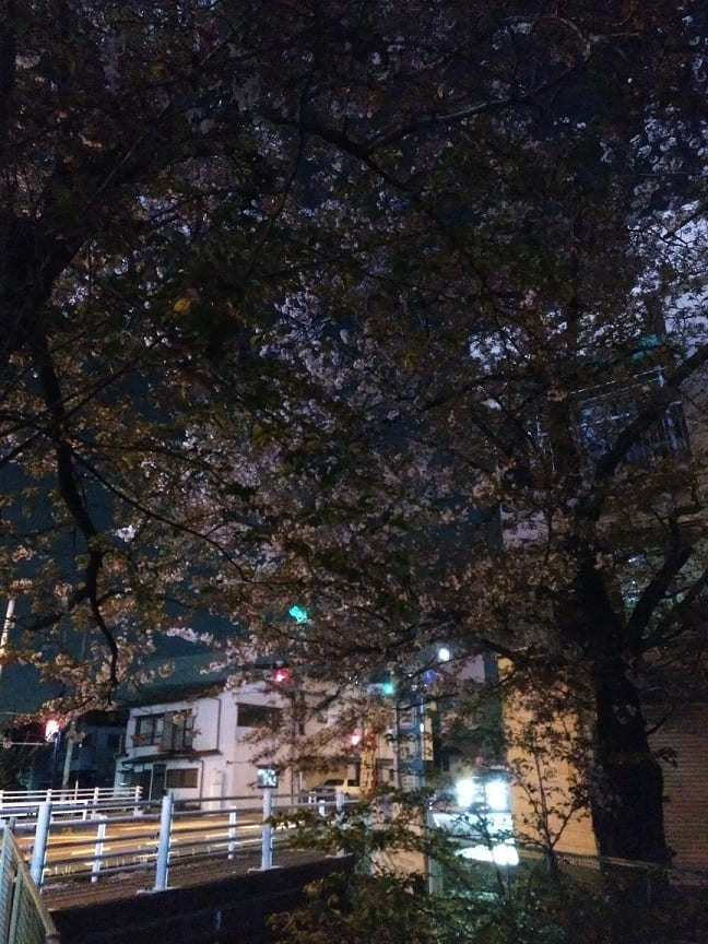 f:id:blackCat13:20220410195250j:plain