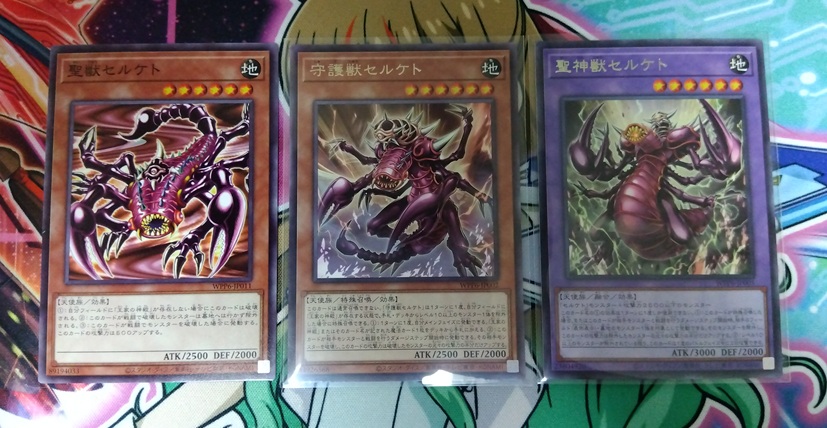 遊戯王】今度こそエクシクを自引きするため「WORLD PREMIERE PACK 2025