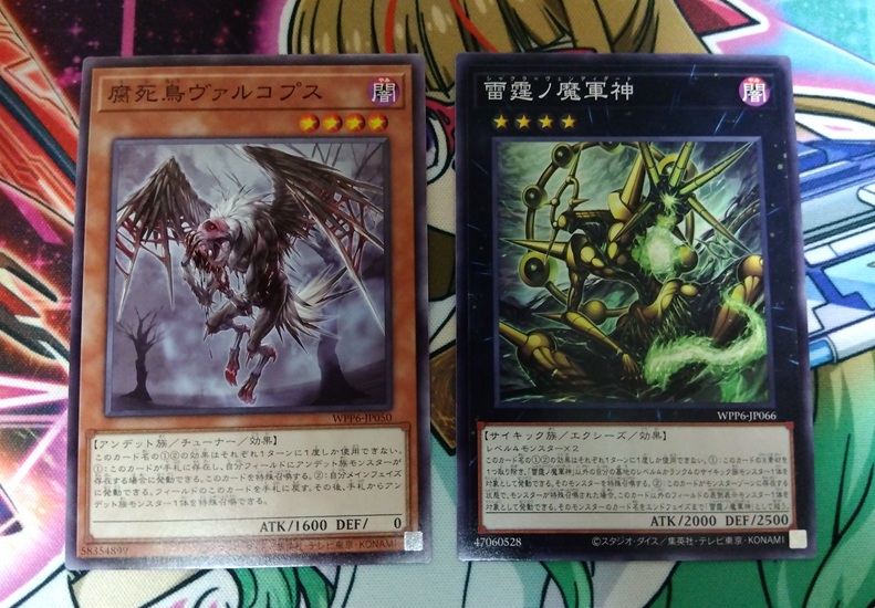 遊戯王】今度こそエクシクを自引きするため「WORLD PREMIERE PACK 2025