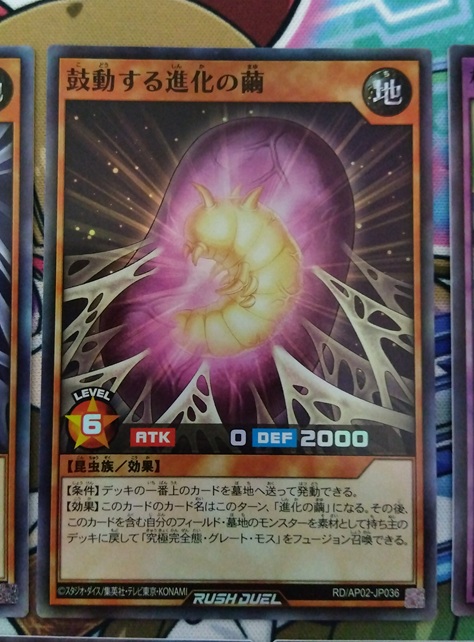 遊戯王】子供の頃は本当に幻だった『究極完全態・グレート・モス』が