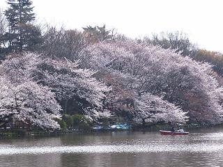 f:id:black_ship:20060401083128j:image f:id:black_ship:20060401083128j:image