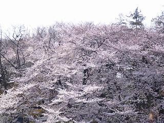 f:id:black_ship:20060401083149j:image f:id:black_ship:20060401083149j:image