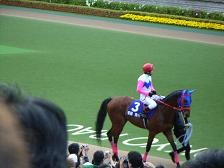 f:id:black_ship:20070422162736j:image f:id:black_ship:20070422162736j:image