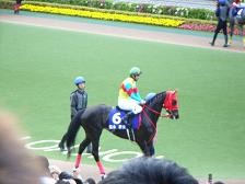 f:id:black_ship:20070422162807j:image f:id:black_ship:20070422162807j:image