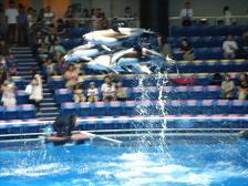 f:id:black_ship:20070826114559j:image f:id:black_ship:20070826114559j:image