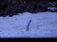 f:id:black_ship:20070826132738j:image f:id:black_ship:20070826132738j:image