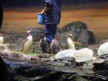 f:id:black_ship:20070826135953j:image f:id:black_ship:20070826135953j:image
