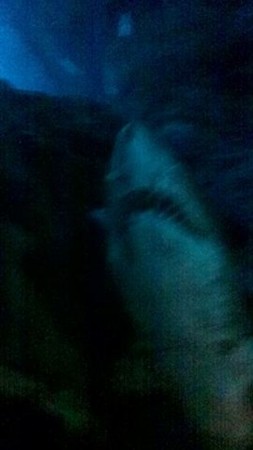 f:id:black_ship:20120330114044j:image