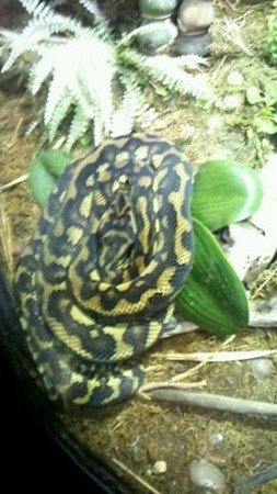 f:id:black_ship:20120330114833j:image