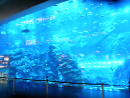 f:id:black_ship:20120330134518j:image