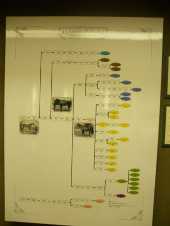 f:id:black_ship:20121020112244j:image f:id:black_ship:20121020112244j:image